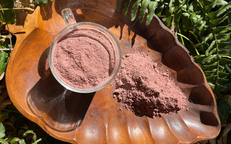 How to make Mimosa Hostilis bark powder