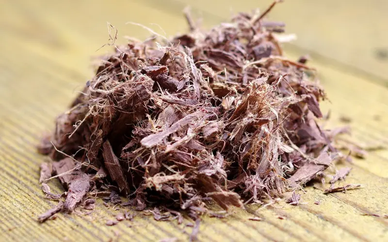 Natural Dyeing with Mimosa Hostilis A Step-by-Step Process