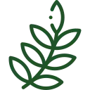 Botanical