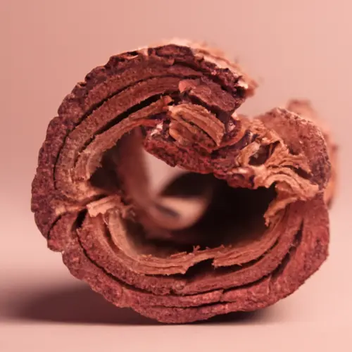 Mimosa Hostilis root bark whole