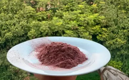 mimosahostilisbark