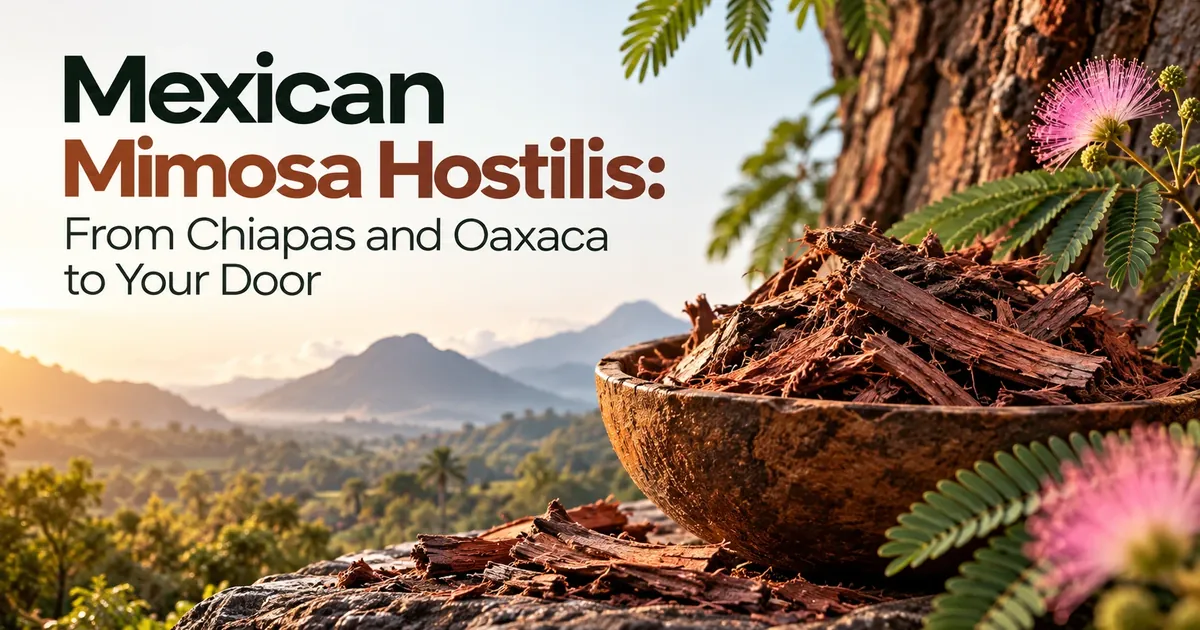 Mexican Mimosa hostilis inner root bark in a wooden bowl with pink flowers and green leaves, with mountains of southern Mexico in the background